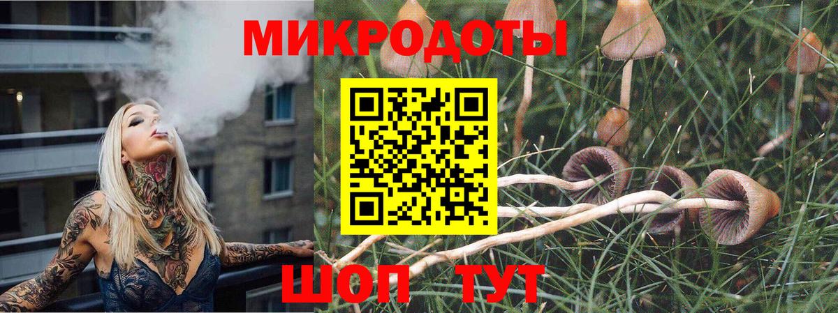 Псилоцибиновые грибы Magic Shrooms  Псилоцибиновые грибы Psilocybe  Пенза  хочу наркоту  Вход с VPN 