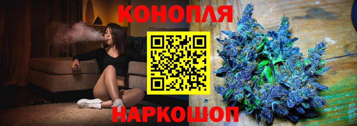 Каннабис план Пенза